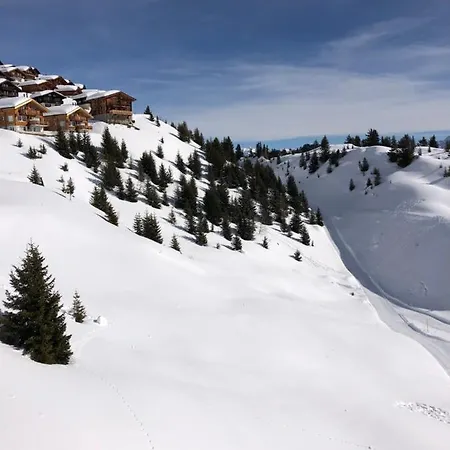 Hotel Hamilton & 3*