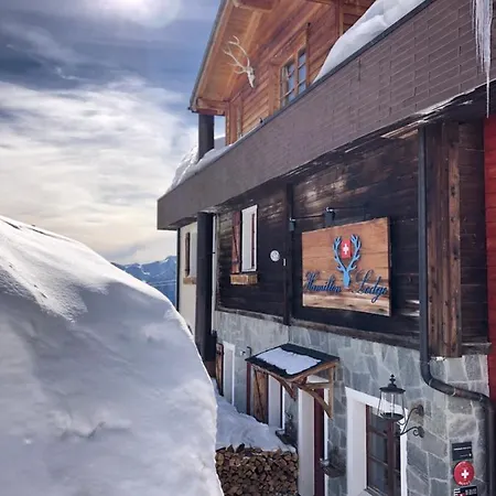 Hamilton & ホテル