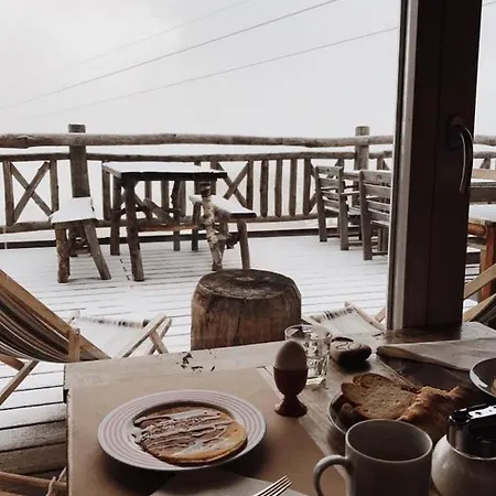 Hamilton & ベラルプ