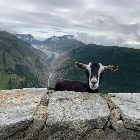 ホテル Hamilton & ベラルプ