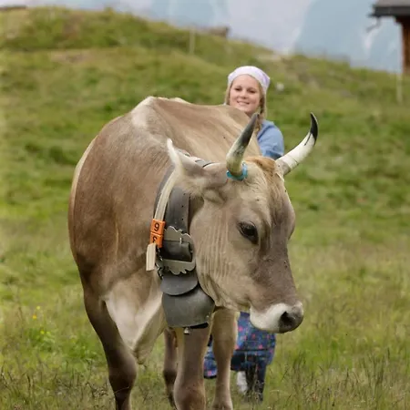 Hamilton & 3* ベラルプ