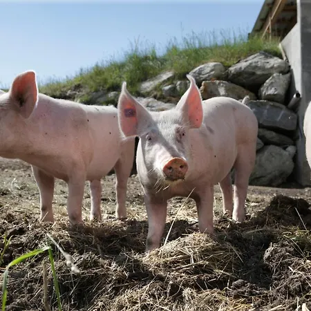 ホテル Hamilton & 3*