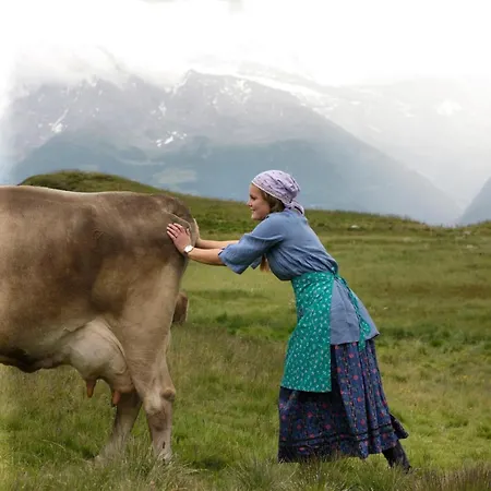 Hamilton & ホテル ベラルプ