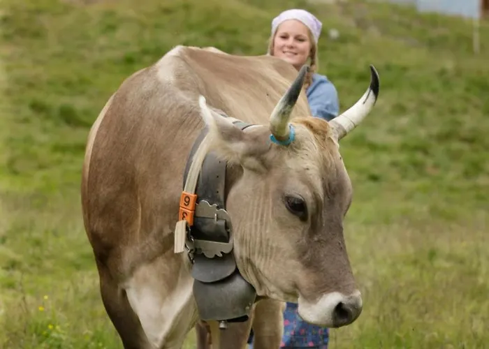 Hamilton & 3* Belalp