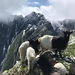 Hamilton & Belalp